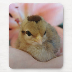 Teeny in meiner Hand Mousepad