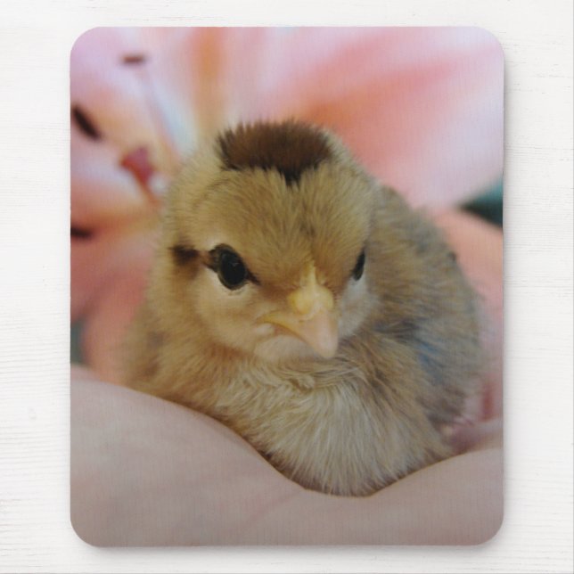 Teeny in meiner Hand Mousepad (Vorne)
