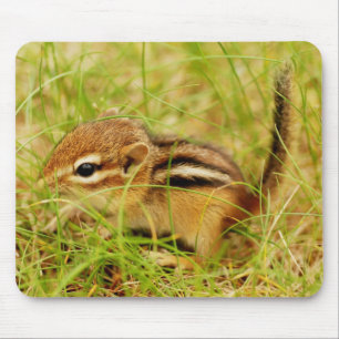 Teeny kleiner BabyChipmunk Mousepad