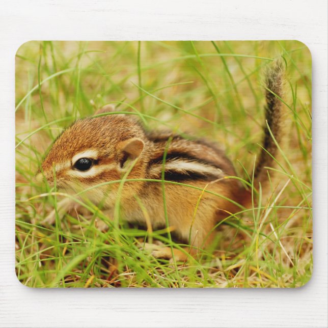 Teeny kleiner BabyChipmunk Mousepad (Vorne)