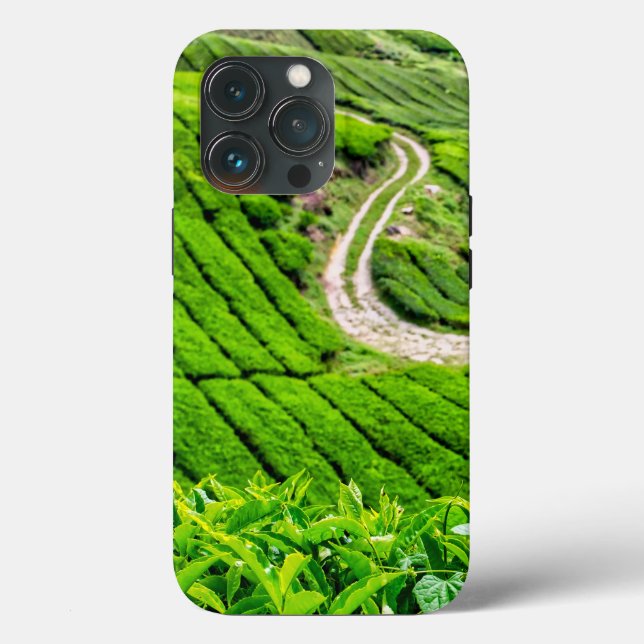 Teeplantage Cameron Highlands Case-Mate iPhone Hülle (Rückseite)