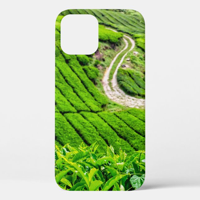 Teeplantage Cameron Highlands Case-Mate iPhone Hülle (Rückseite)