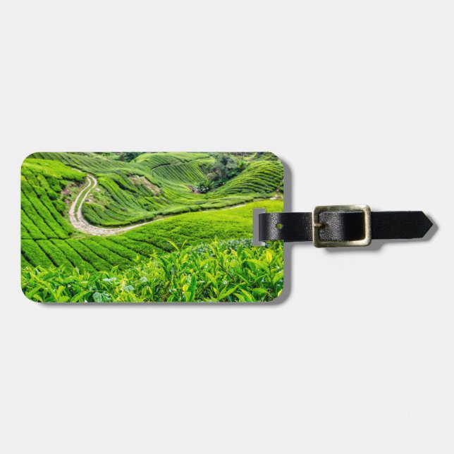 Teeplantage Cameron Highlands Gepäckanhänger (Vorderseite horizontal)