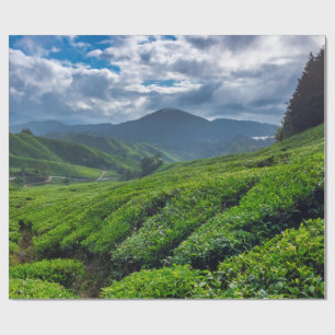 Teeplantage Cameron Highlands Geschenkpapier