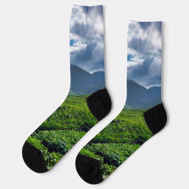 Teeplantage Cameron Highlands Socken (Linkes Detail)