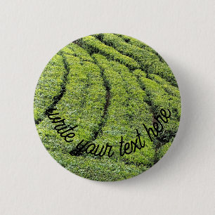 Teeplantagen von Munnar am Button