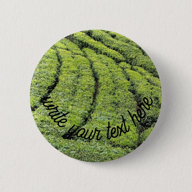 Teeplantagen von Munnar am  Button (Vorderseite)