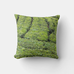 Teeplantagen von Munnar am Kissen