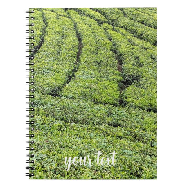 Teeplantagen von Munnar am  Notizblock (Vorderseite)