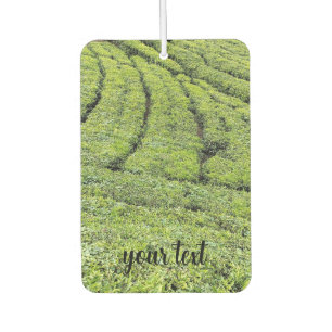 Teeplantagen von Munnar in der Luft Autolufterfrischer