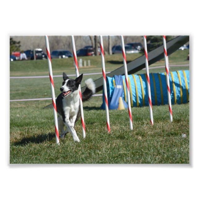 TeeVee Fotodruck (Vorne)