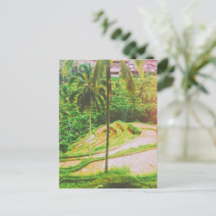 Tegalalang Rice Terrace - Bali - Indonesien Postkarte