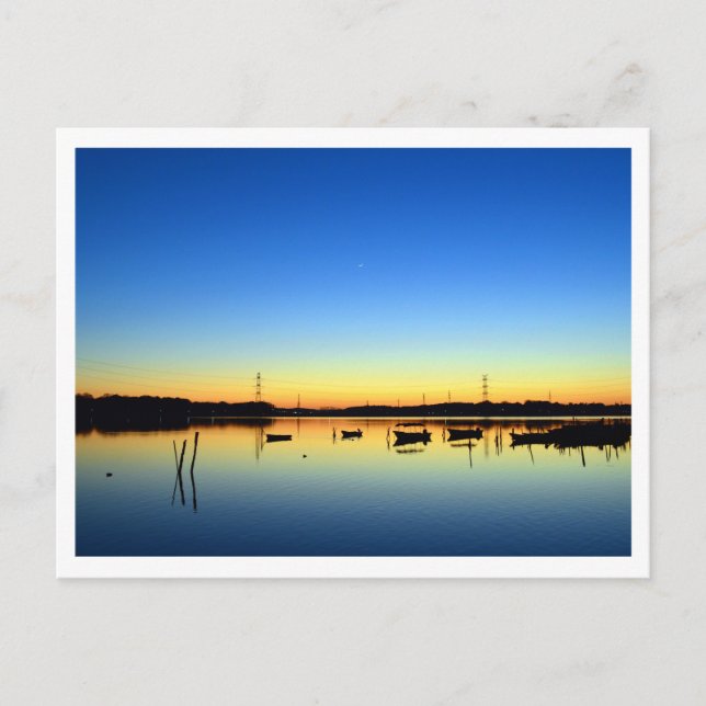 Teganuma-See: Abiko, Japan Postkarte (Vorderseite)