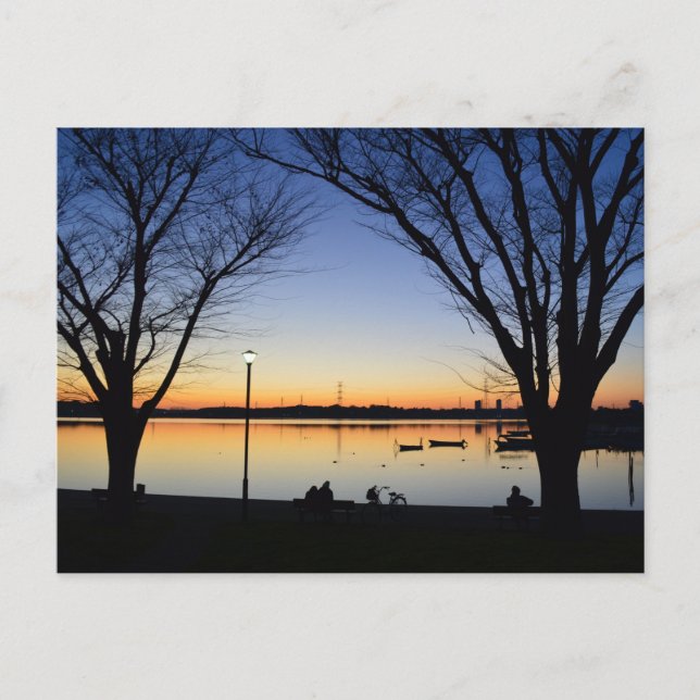 Teganuma-See: Chiba, Japan Postkarte (Vorderseite)