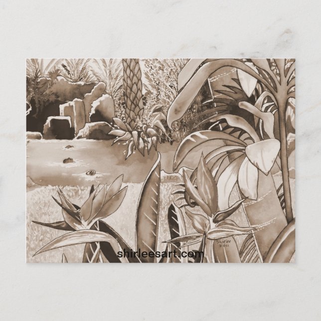 Teich bei Ananas Plantation Postkarte (Vorderseite)