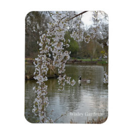 Teich bei RHS Wisley, England Magnet