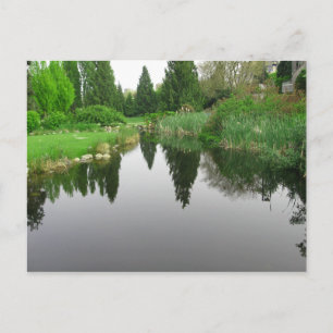 Teich in Vancouver, BC Postcard Postkarte