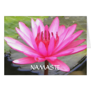 Teich-Lotus-Ruhe L Namaste