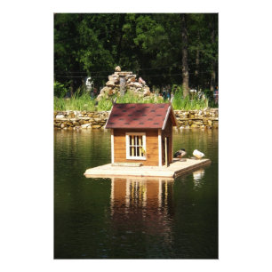 Teich mit Vogelhaus Fotodruck