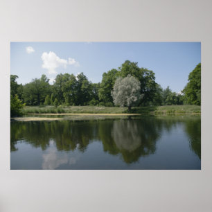 Teich Poster