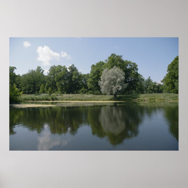 Teich Poster (Vorne)