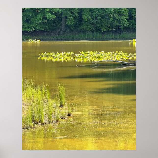 Teich-Wasserlandschaft-Foto-Poster Poster (Vorne)