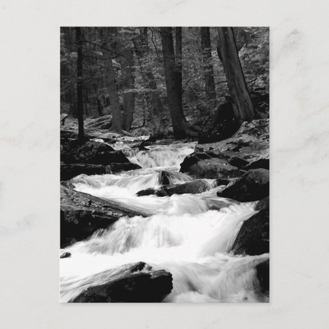 Teichkreuz Postkarte (Vorderseite)