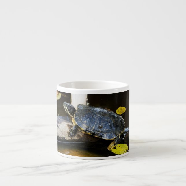 Teichschieberschildkröte im wilden espressotasse (Vorderseite)