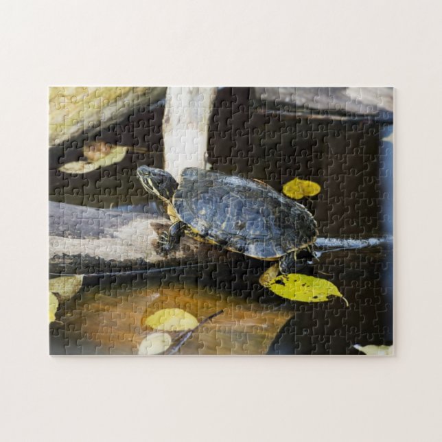 Teichschieberschildkröte im wilden puzzle (Horizontal)