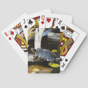 Teichschildkröte in freier Wildbahn Spielkarten