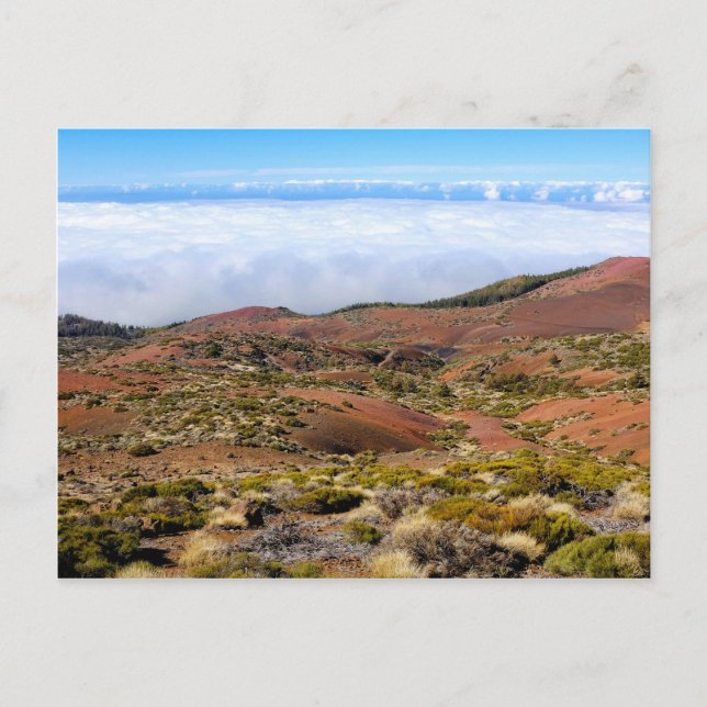 Teide-Nationalpark Postkarte (Vorderseite)