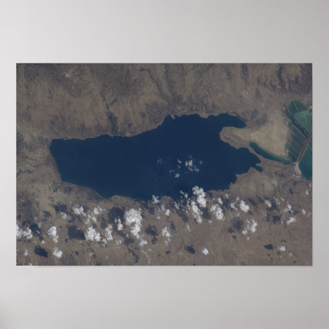 Teil des Toten Meeres Poster (Vorne)