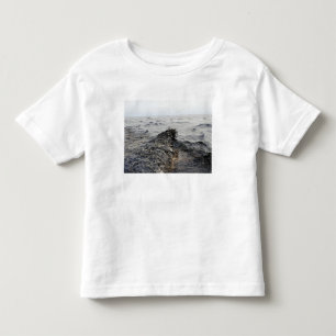 Teil eines Ölteppichs im Golf von Mexiko Kleinkind T-shirt