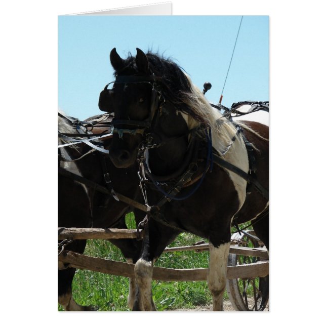 Teil eines Teams (Vorne)