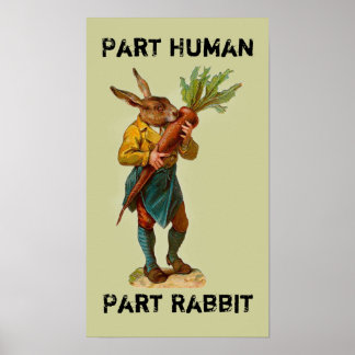 Teil Mensch, Teil Kaninchen-Poster Poster