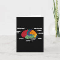 Teile der Gehirn Anatomie farbiges Diagramm