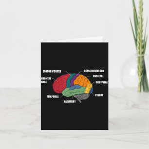 Teile der Gehirn Anatomie farbiges Diagramm Karte