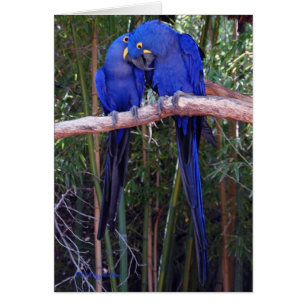 Teilen von Geheimnissen