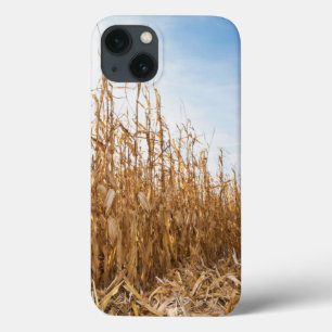 Teils geerntetes Mais-Feld Case-Mate iPhone Hülle