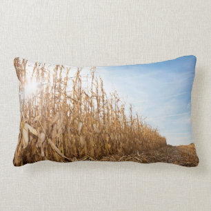 Teils geerntetes Mais-Feld Lendenkissen