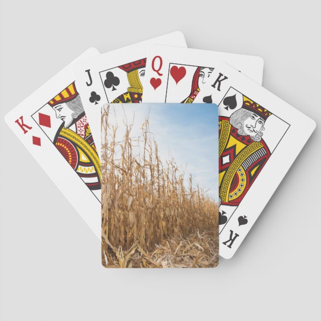 Teils geerntetes Mais-Feld Spielkarten (Rückseite)