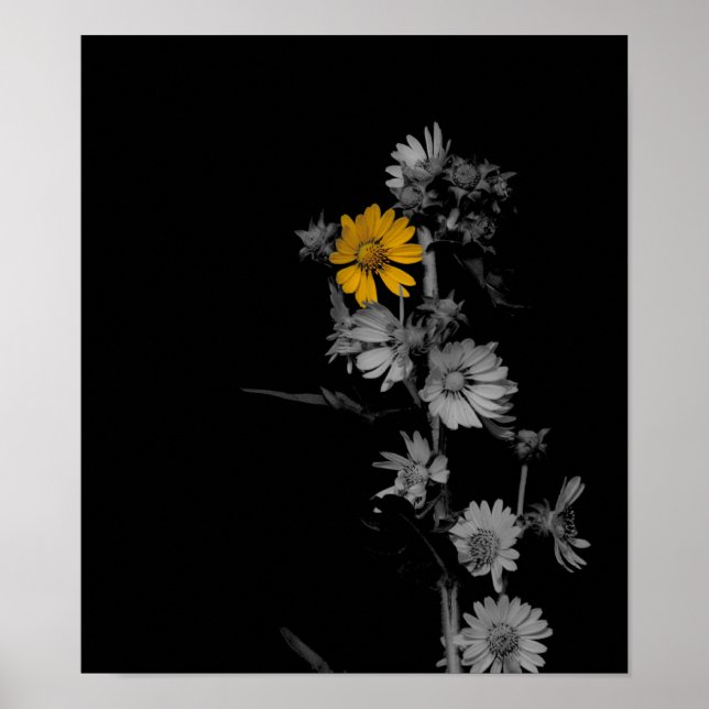 Teilweise eingefärbtes Schwarz-Weiß-Blume-Poster Poster (Vorne)