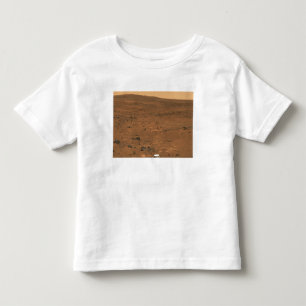 Teilweises Seminolepanorama von Mars Kleinkind T-shirt