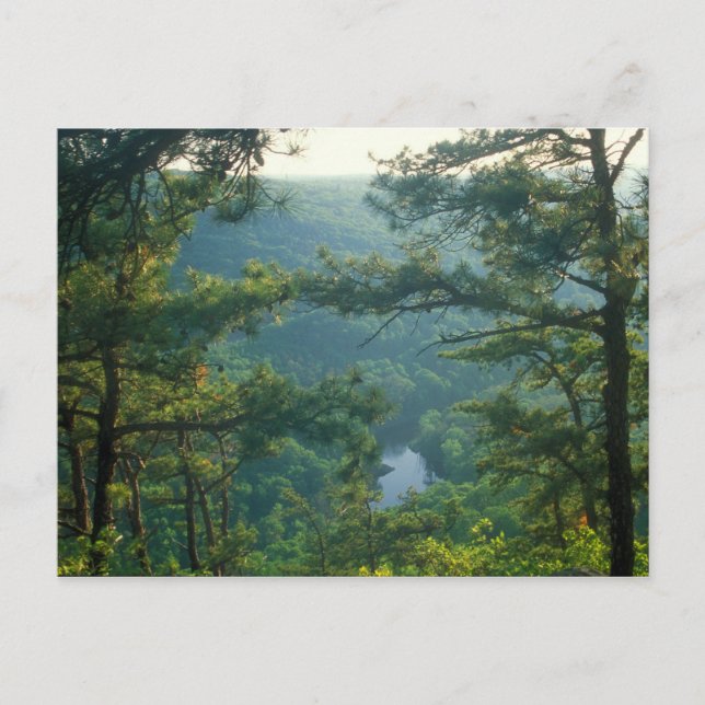 Tekoa Mountain Postkarte (Vorderseite)