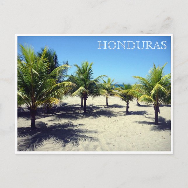 Tela palms honduras postkarte (Vorderseite)