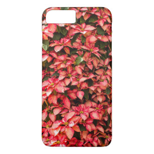 Telefon-Hüllen Rot-Poinsettia Case-Mate iPhone Hülle