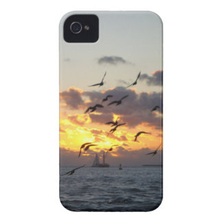 Telefon-Kasten Key West-Sonnenuntergang-I iPhone 4 Hülle