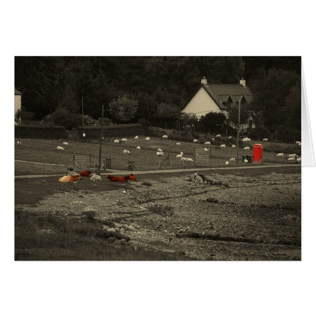 Telefonzelle (Vorderseite (Horizontal))