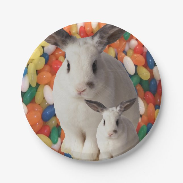 Teller (Vorderseite)