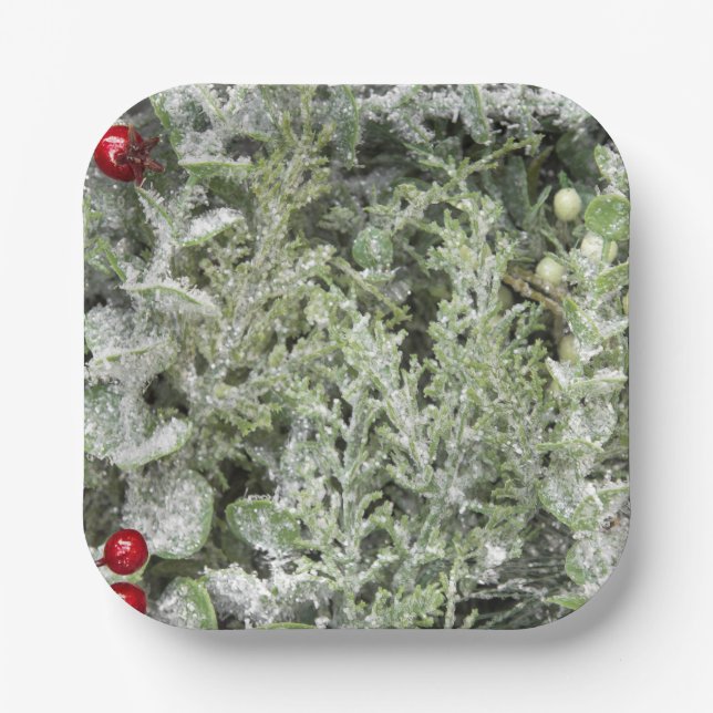 Teller (Vorderseite)